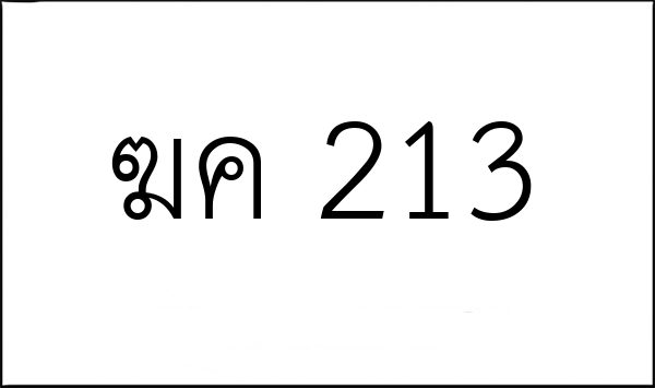 ฆค 213